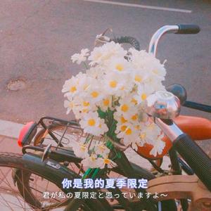 商品图营销小鸡导航
