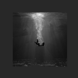 商品图营销小鸡导航
